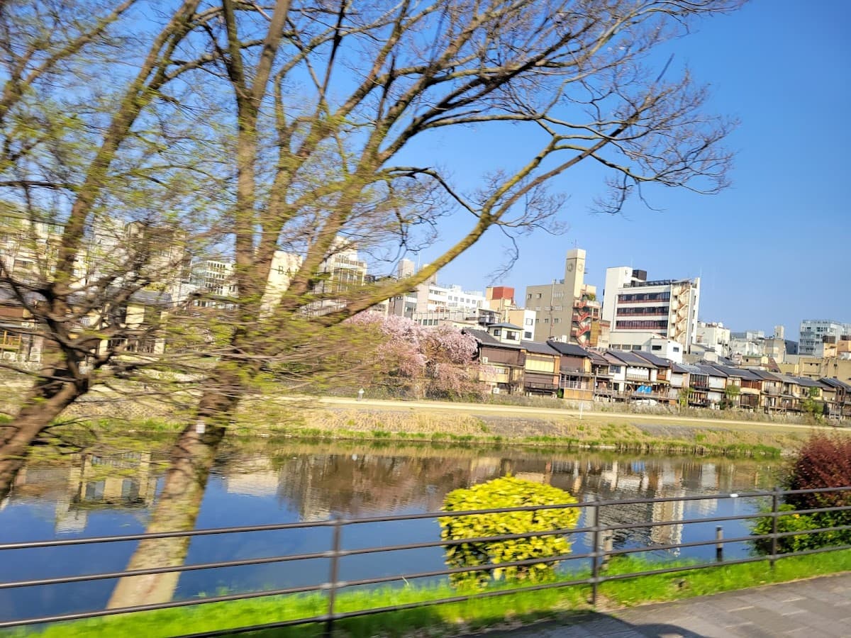 Best Group Activities in Kyoto