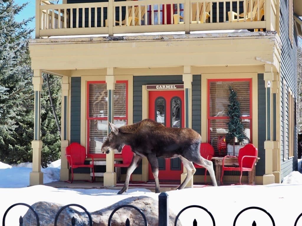 Perfect for 2 families - 2 King suites! Walk to Main St, Skiing & More! 5 Star
