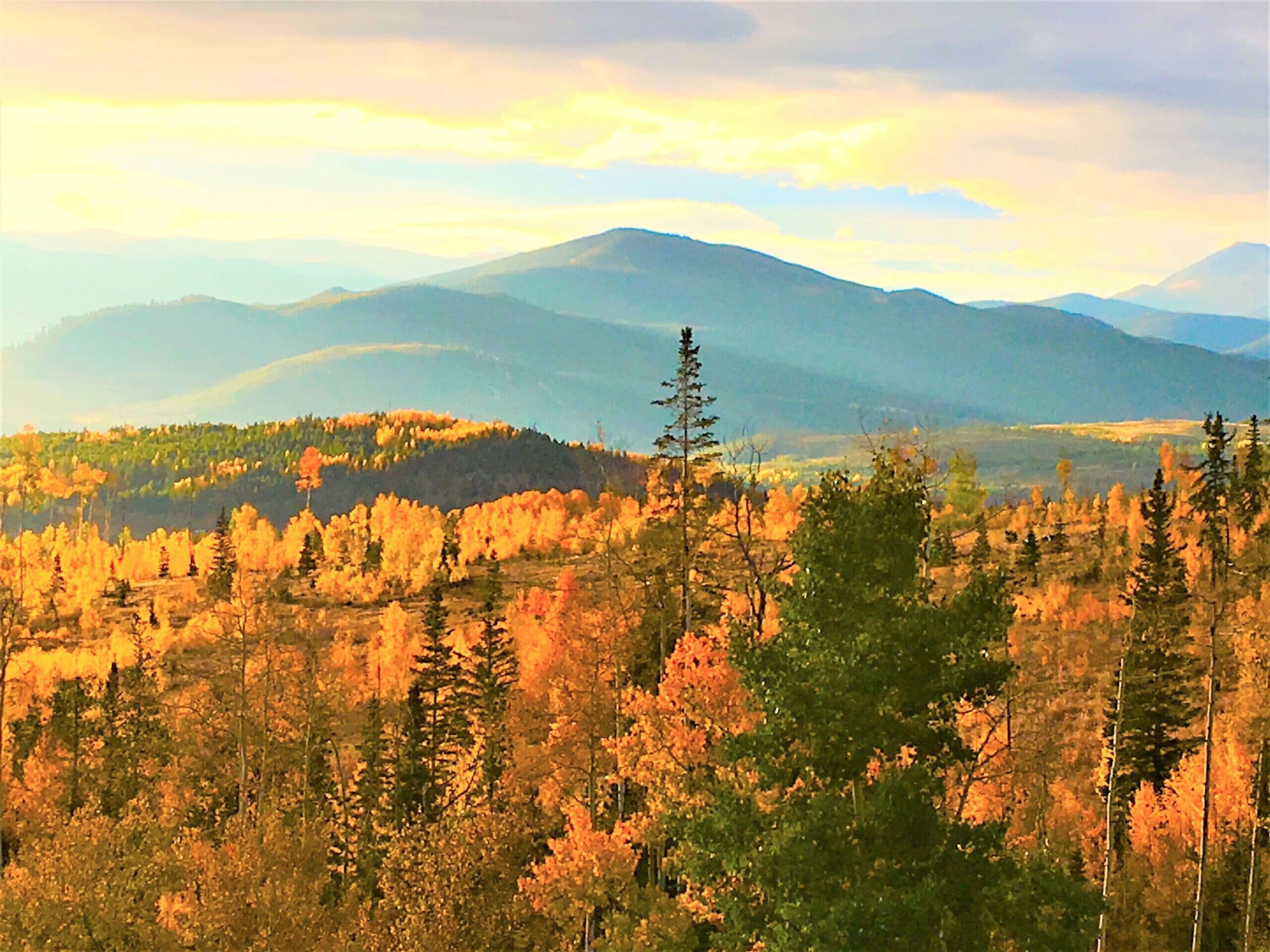 Tall Pines Superchair Townhome • Ski In/Out • Private Hot Tub