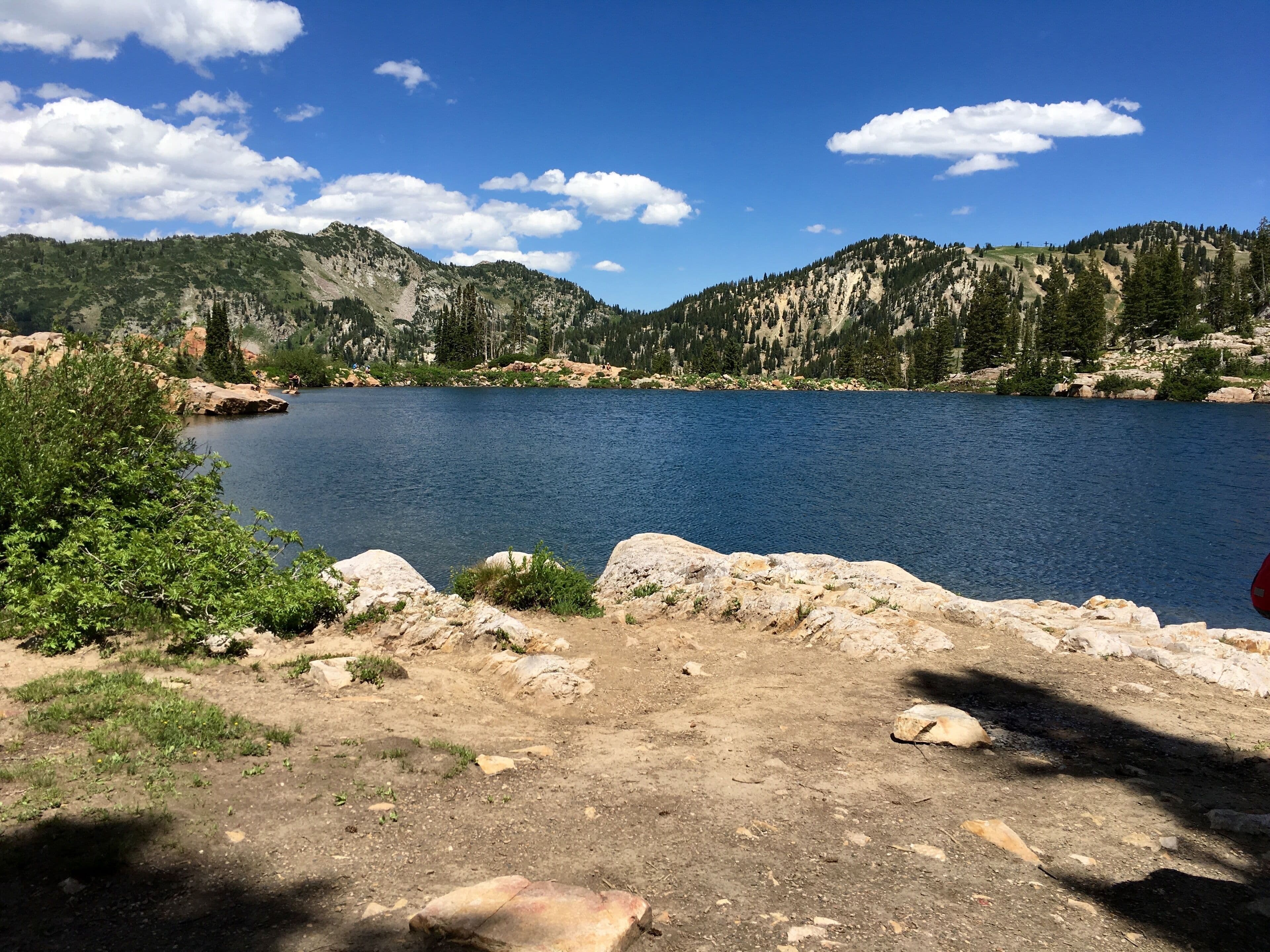 BOOKING SUMMER 2026! BIKING, HIKING, PICKLEBALL AND MORE!