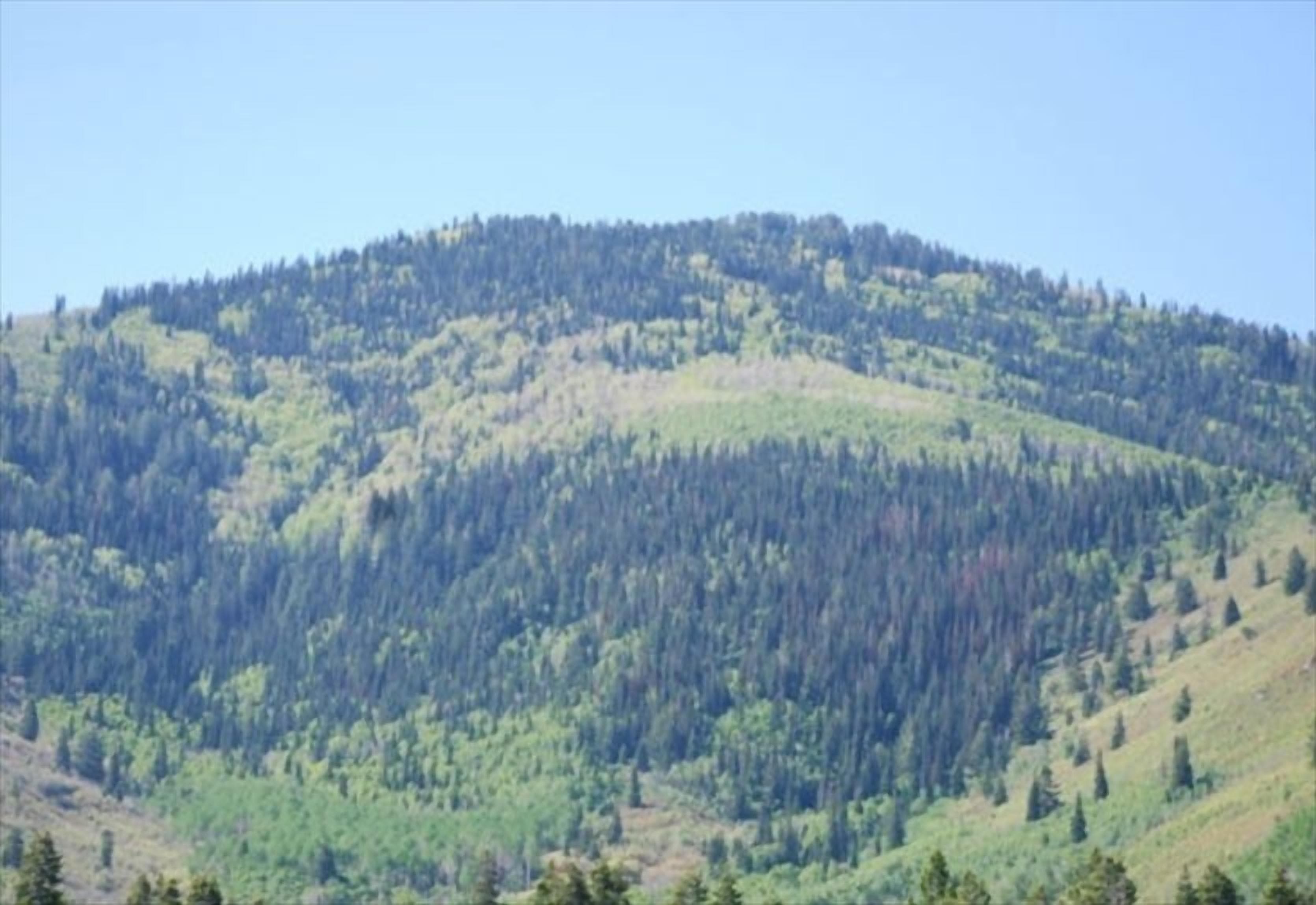 The Alpine Escape - Ski In/Ski Out, Hike, Relax All Year