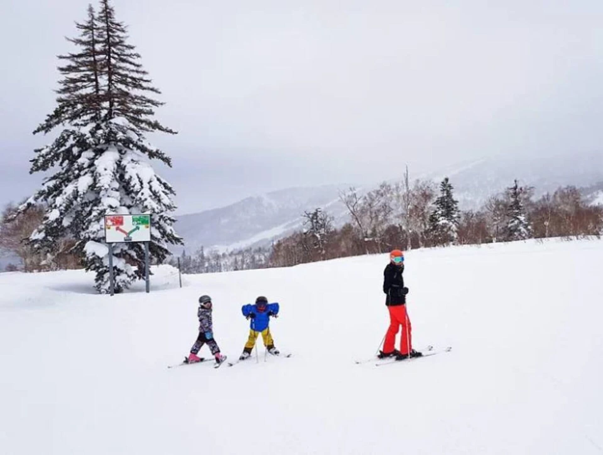 Luxury 5 Star 3 Bedroom Chalet, Niseko Chalet 1005