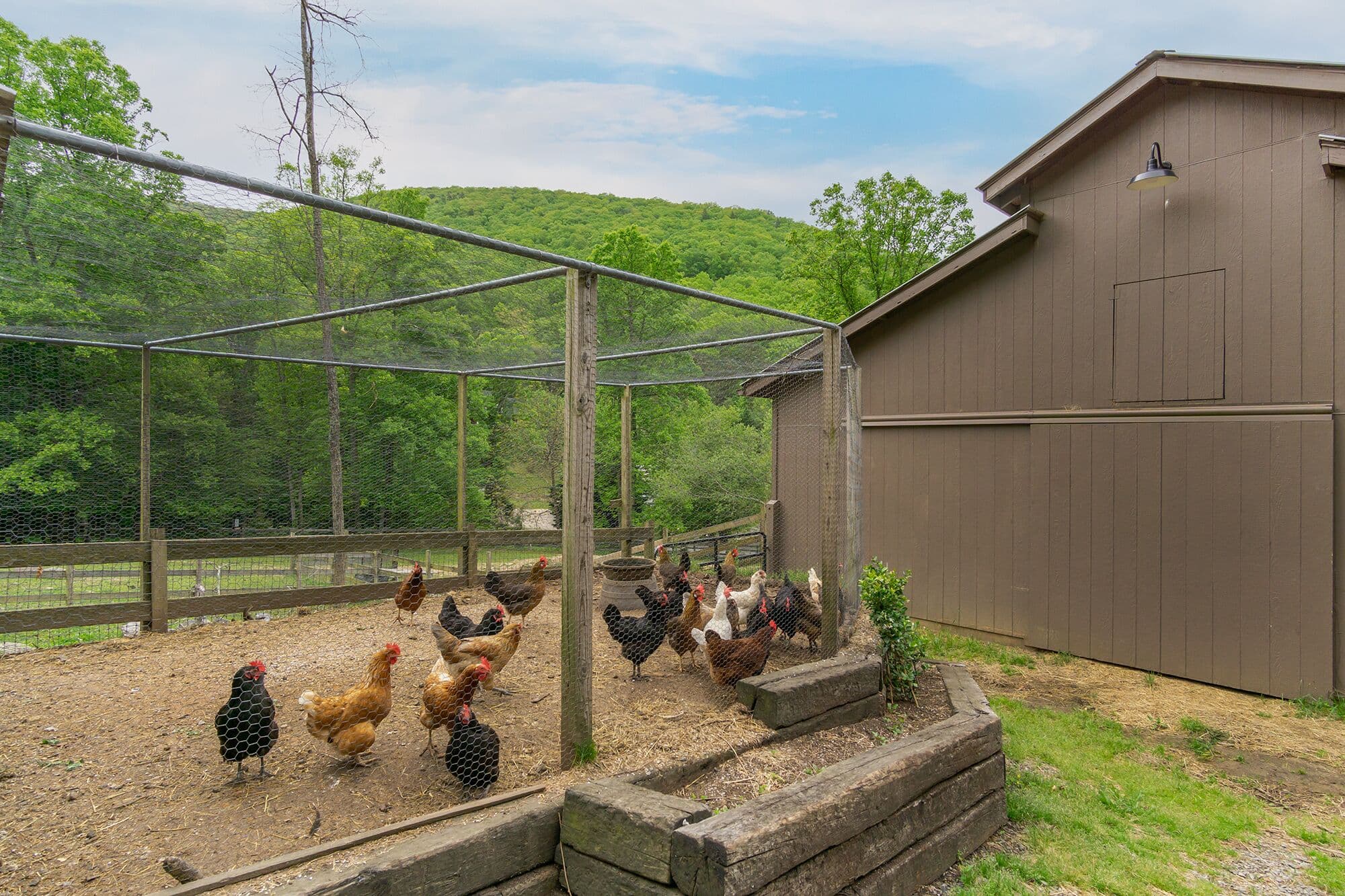 Hot tub, Fire-pit, Wrap around Porch, Fresh Eggs, Privacy, 10 miles to AVL.
