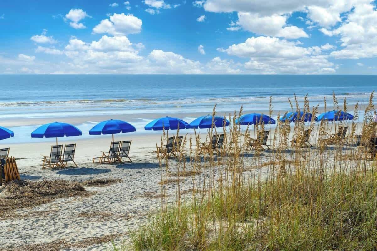 Lovely & Secluded Sea Pines Retreat on Hilton Head
